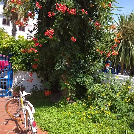 Ibiscus Casa Marina