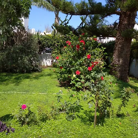 Дом отдыха Ibiscus Casa Marina *